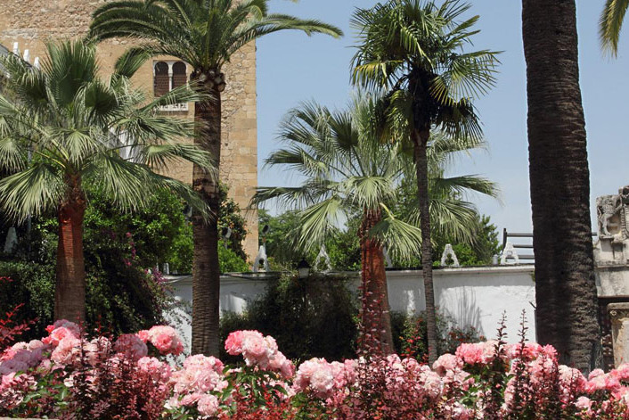 Guía digital de Cabra