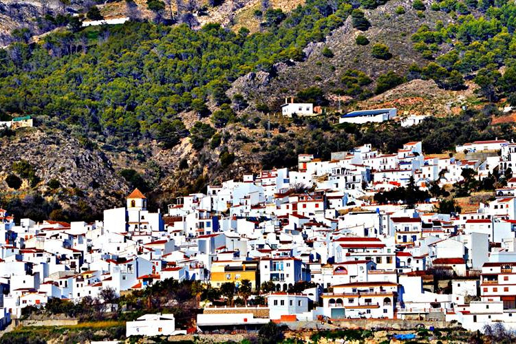 Guía digital de Canillas de Aceituno