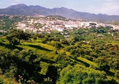Guía digital de Coín