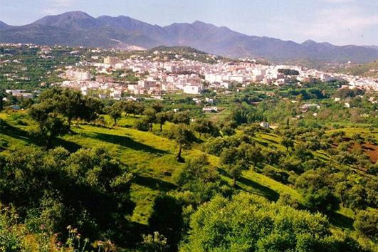 Guía digital de Coín
