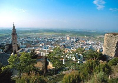 Guía digital de Estepa