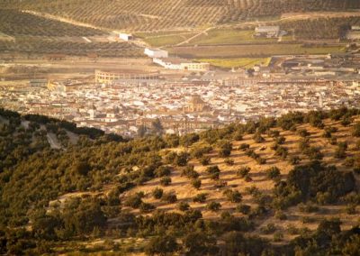 Digital guide to Lucena.