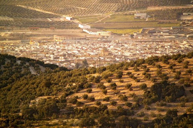 Digital guide to Lucena.