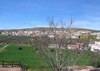Guía digital de Pozo Alcón