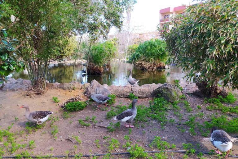 Guías digitales de Ayamonte