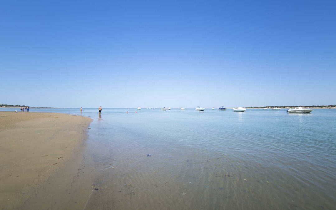 Guía digital de Sanlúcar de Barrameda