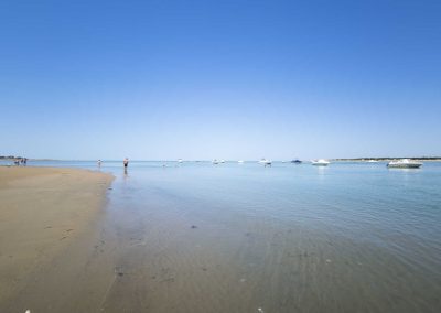 Guía digital de Sanlúcar de Barrameda