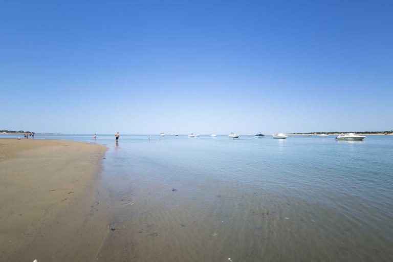 Guía digital de Sanlúcar de Barrameda
