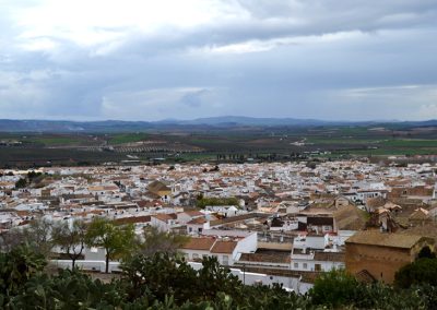 Guía digital de Osuna