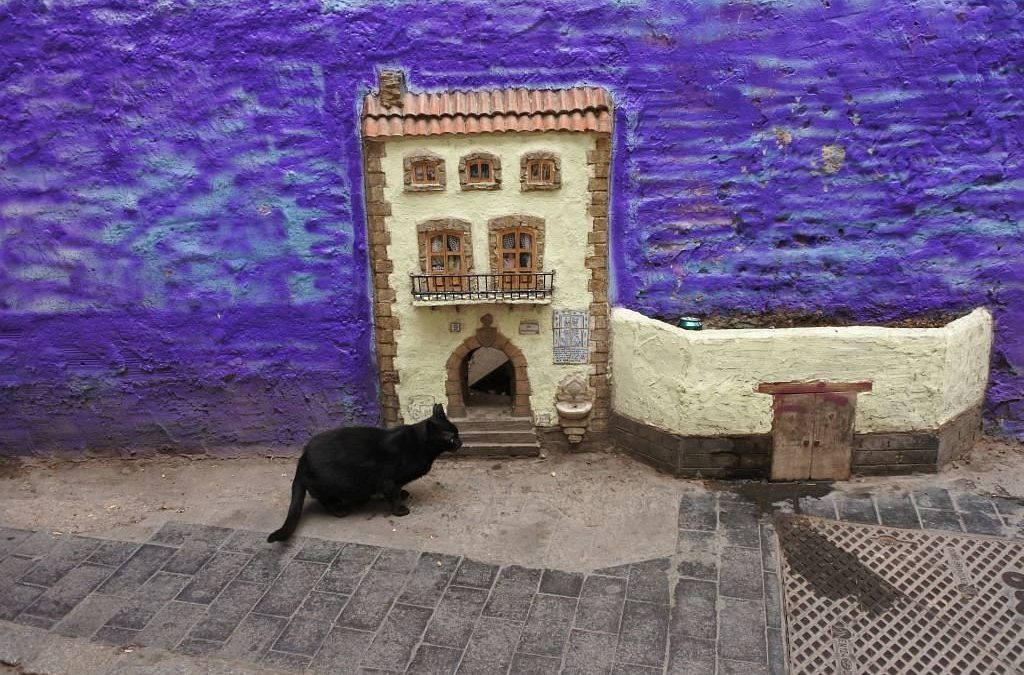 El rincón escondido de Valencia para los amantes de los gatos