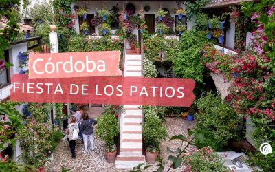 Cuándo son los Patios de Córdoba 2026: guía completa y consejos para disfrutar de su aroma